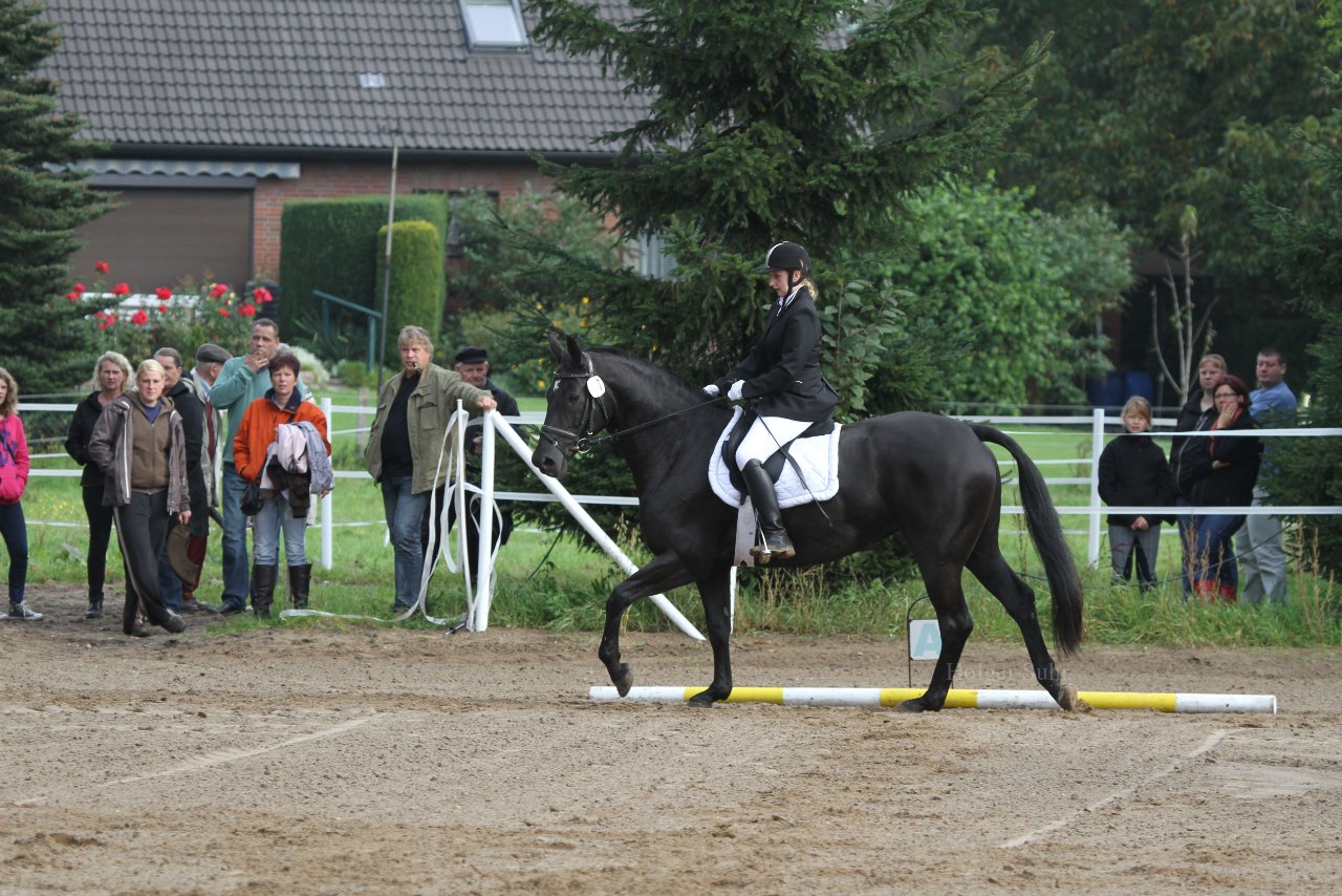 Bild 81 - WBO-Turnier am 18.9.11